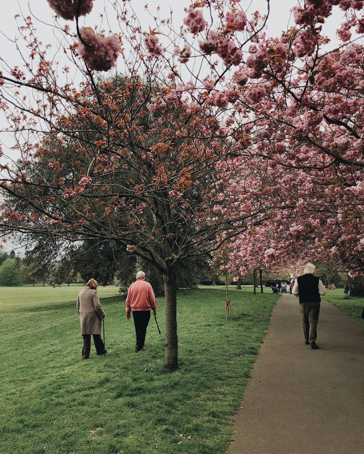 Seniors Walking